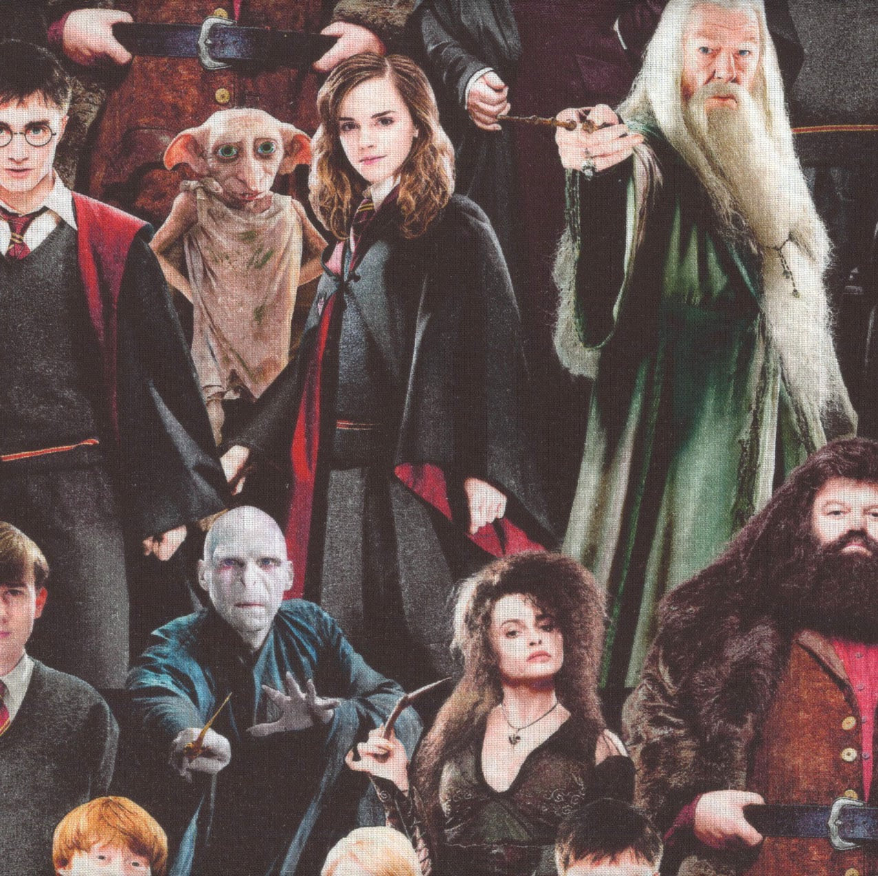 Benartex Harry Potter Dumbledore Voldemort Hagrid Harry Hermione